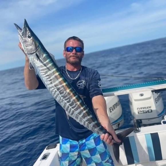 Meet your Posher, Joe - Picture 1 of 1